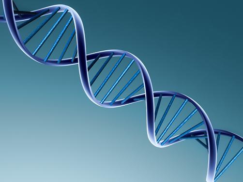 DNA - biotechnologie - RNA - medicína - farmacie