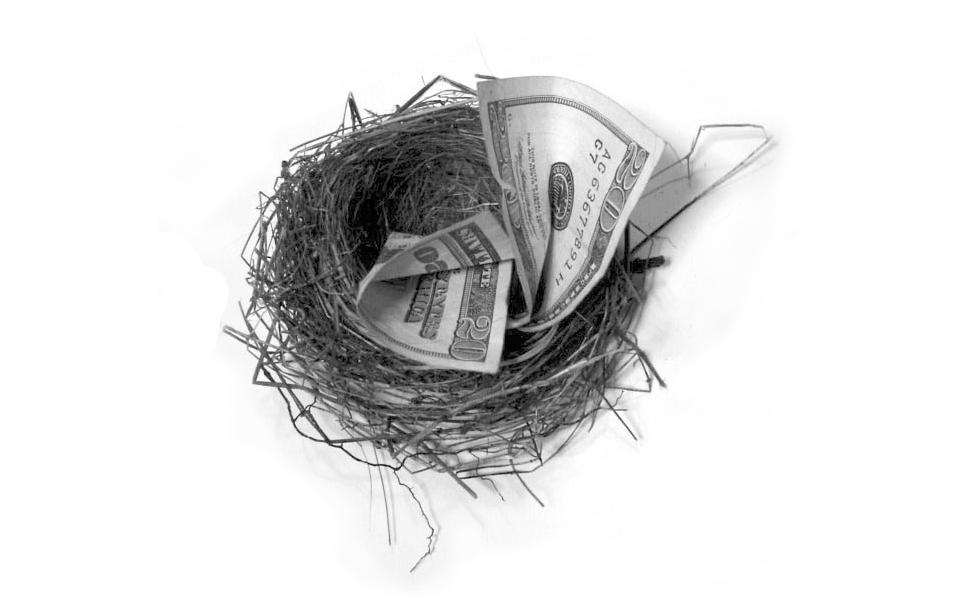 Peníze - hnízdo - bezpečí