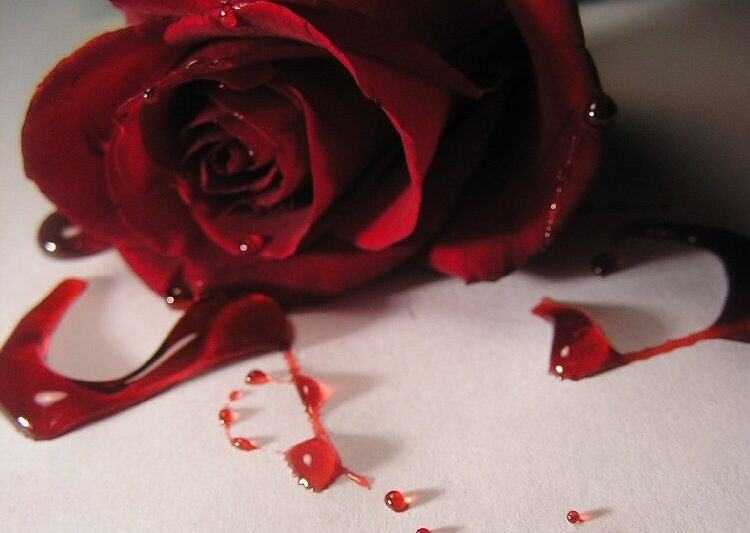 Krvavá růže