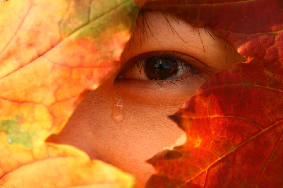 Vdovský/vdovecký důchod