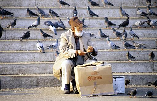 Důchodce - penzista na schodech - holubi