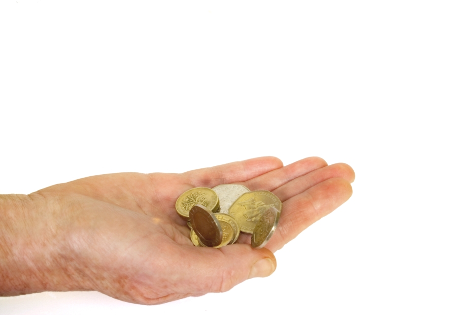 Ruka s penězi - peníze - mince - dlaň