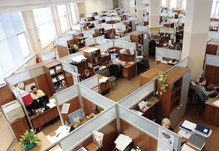 zaměstnání - kancelář - openspace - zaměstnanecký poměr - Švarc systém