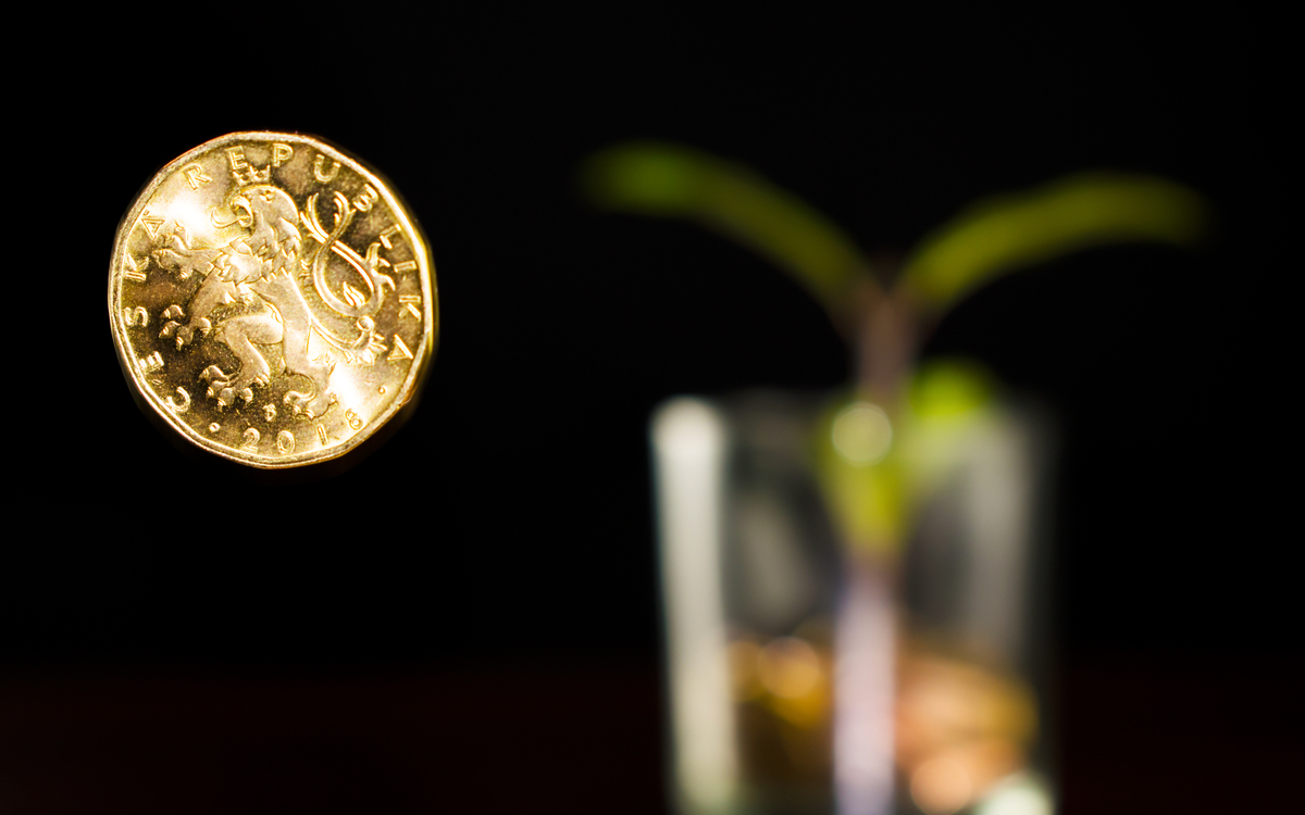 Inflační oběti minulé peněžní politiky