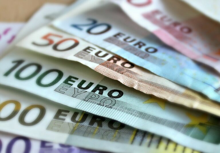 Příjetí eura a investice